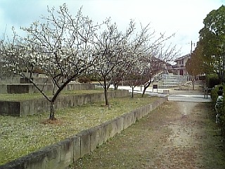 100227_122245.jpg