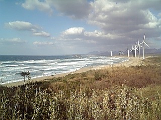 100321_162815.jpg