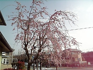 100406_082049.jpg