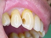 c21001b.jpg